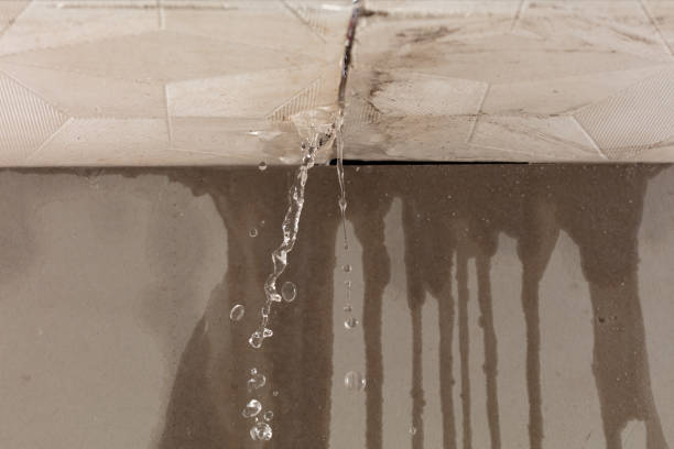 Professional Sewage Cleanup technician working in Sadieville, KY